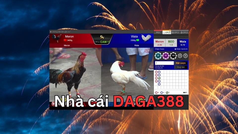Daga388 trang đá gà thomo uy tín nhất Việt Nam
