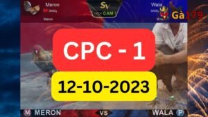 Đá gà CPC1 12-10-2023