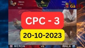 Đá gà CPC3 20-10-2023