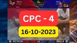 Đá gà CPC4 16-10-2023