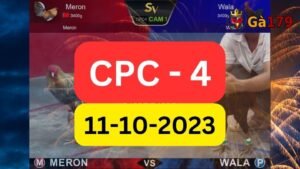 Đá gà CPC4 11-10-2023