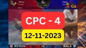 Đá gà CPC4 12-11-2023