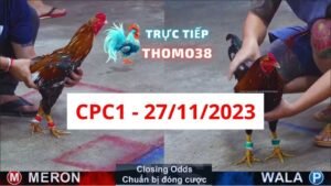 Đá gà CPC1 27-11-2023