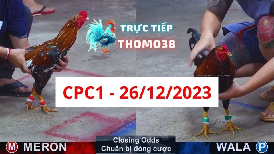Đá gà CPC1 26-12-2023