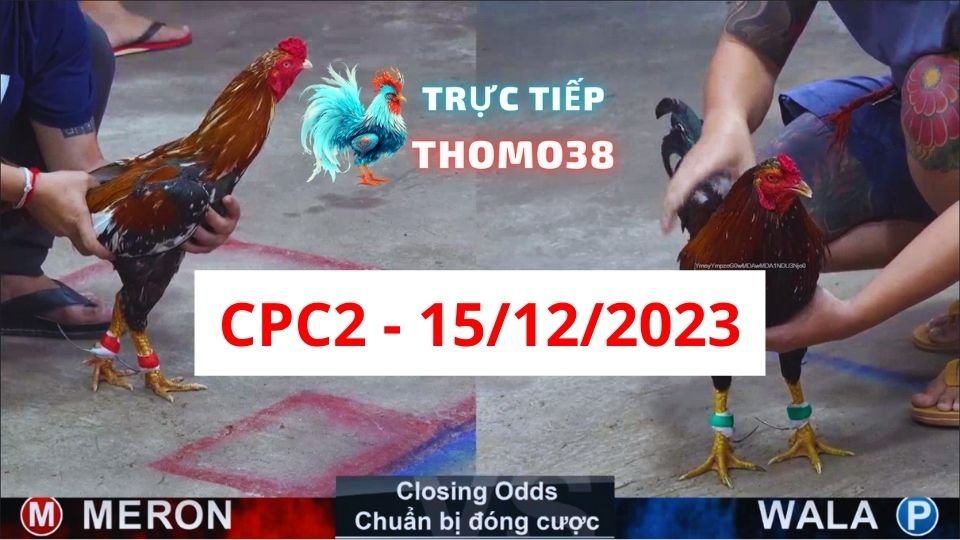 Đá gà CPC2 15-12-2023