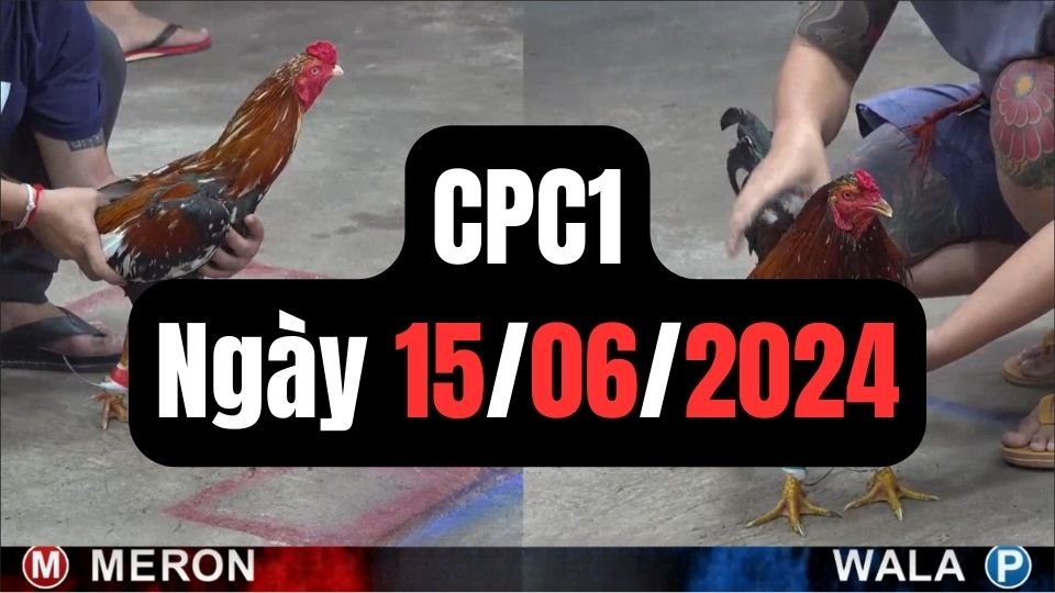 Đá gà CPC1 15-06-2024