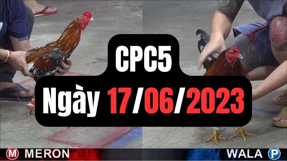 Đá gà CPC5 17-06-2024